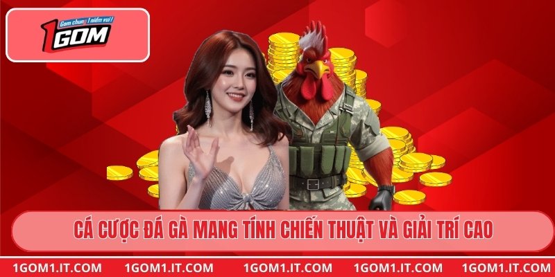 Cá cược đá gà mang tính chiến thuật và giải trí cao