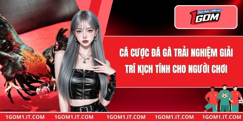 Cá Cược Đá Gà