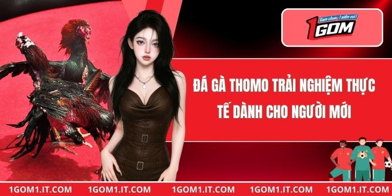 Đá Gà Thomo