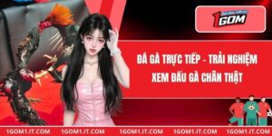 Đá Gà Trực Tiếp