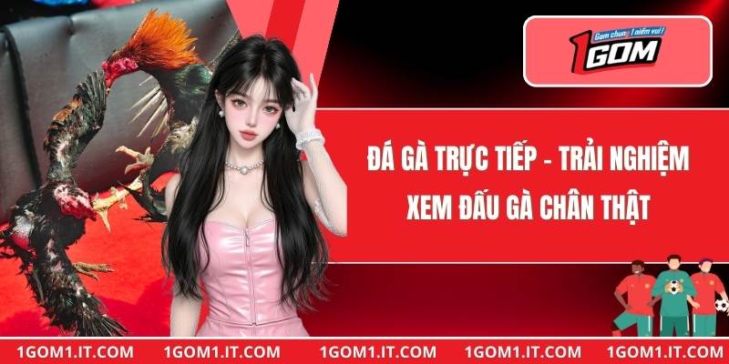 Đá Gà Trực Tiếp