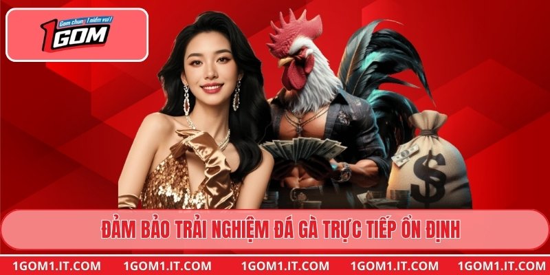 Đảm bảo trải nghiệm đá gà trực tiếp ổn định