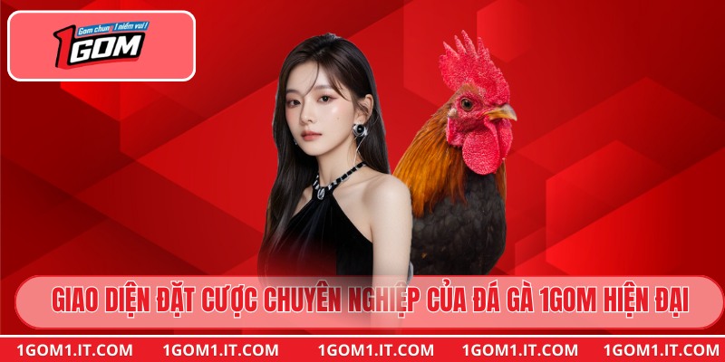 Giao diện đặt cược chuyên nghiệp của đá gà 1gom hiện đại
