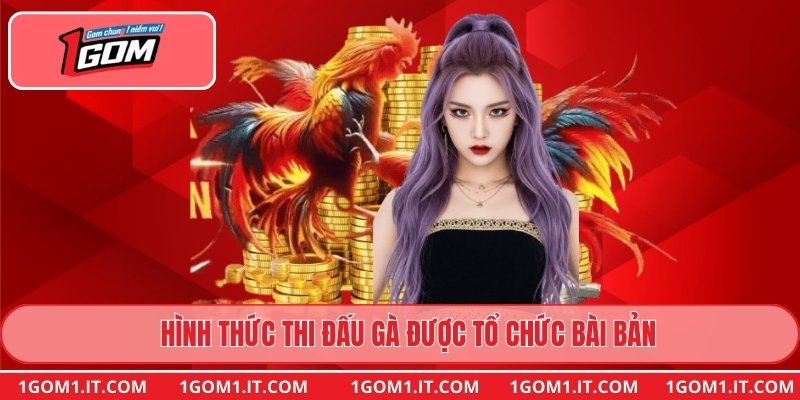 Hình thức thi đấu gà được tổ chức bài bản