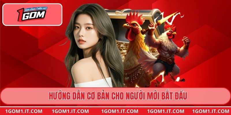 Hướng dẫn cơ bản cho người mới bắt đầu