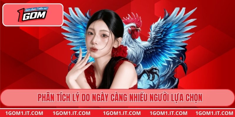 Phân tích lý do ngày càng nhiều người lựa chọn