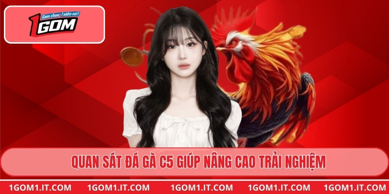 Quan sát đá gà c5 giúp nâng cao trải nghiệm
