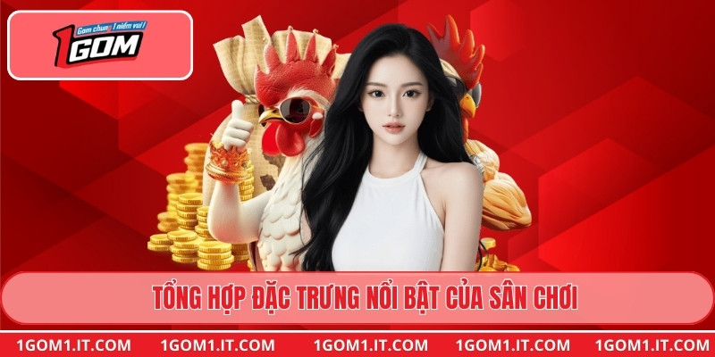Tổng hợp đặc trưng nổi bật của sân chơi