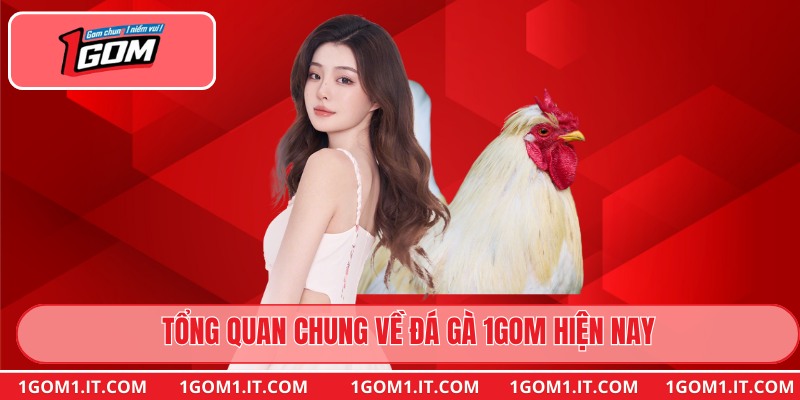 Tổng quan chung về đá gà 1gom hiện nay